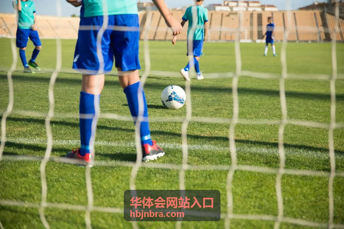 华体会网站入口主通道界面示意
