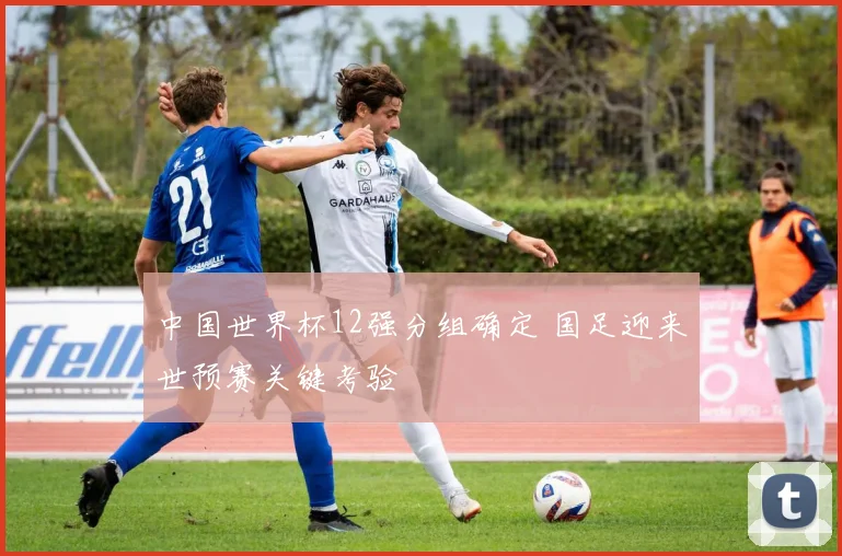 中国世界杯12强分组确定 国足迎来世预赛关键考验