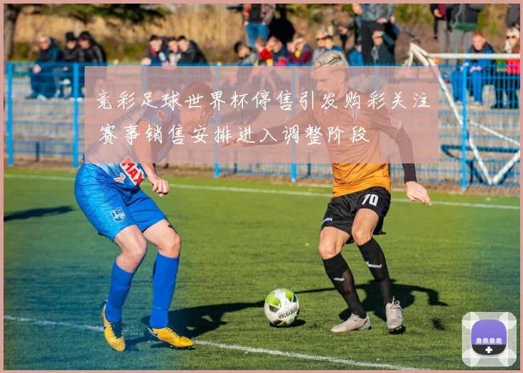 竞彩足球世界杯停售引发购彩关注 赛事销售安排进入调整阶段