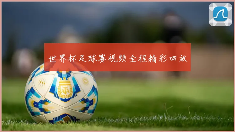 世界杯足球赛视频全程精彩回放