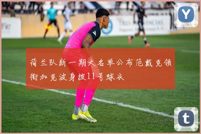 荷兰队新一期大名单公布范戴克领衔加克波身披11号球衣