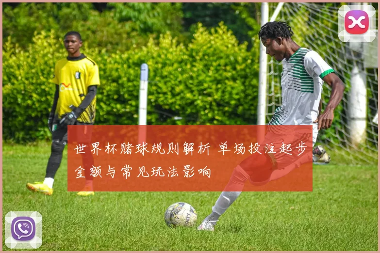 世界杯赌球规则解析 单场投注起步金额与常见玩法影响