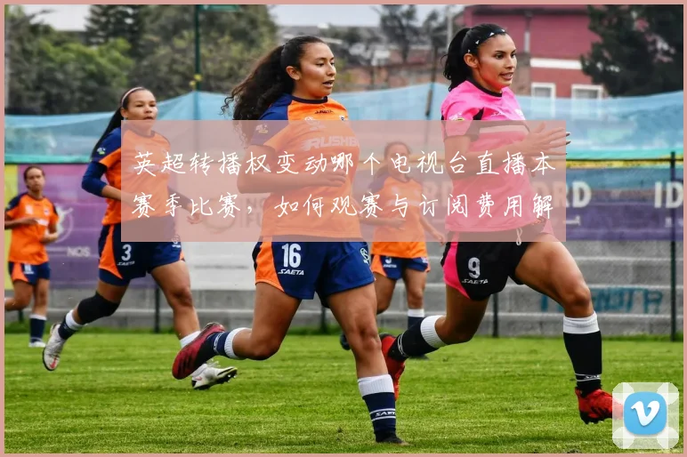 英超转播权变动哪个电视台直播本赛季比赛，如何观赛与订阅费用解析